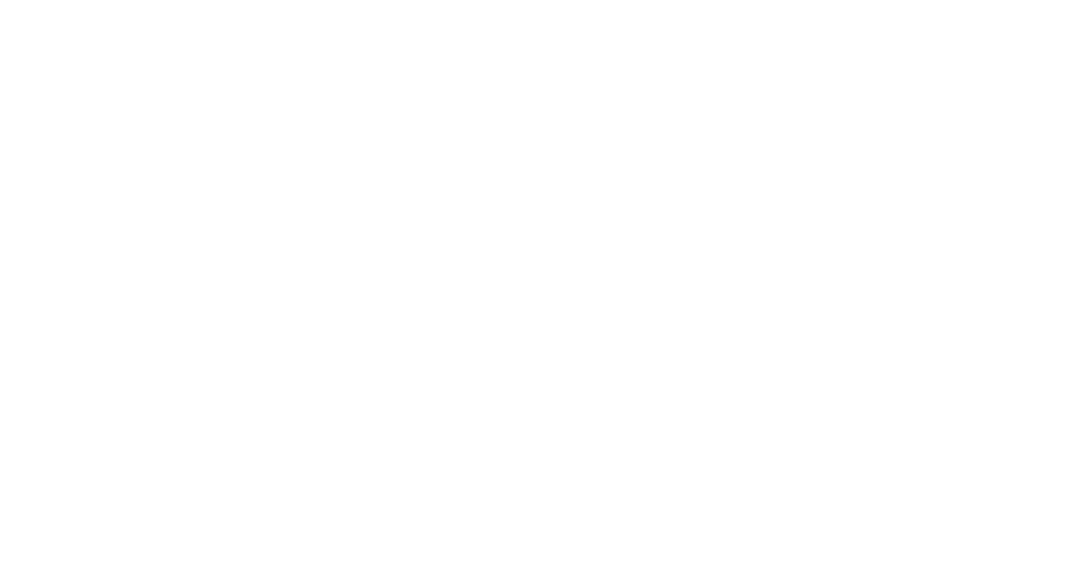 Logo Sonny Tessier's Virtuals Designs Blanc